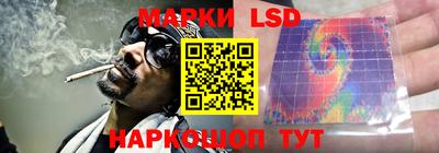 индика Рыбинск