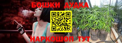 индика Рыбинск
