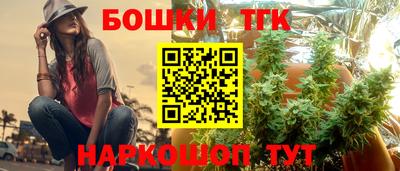индика Рыбинск